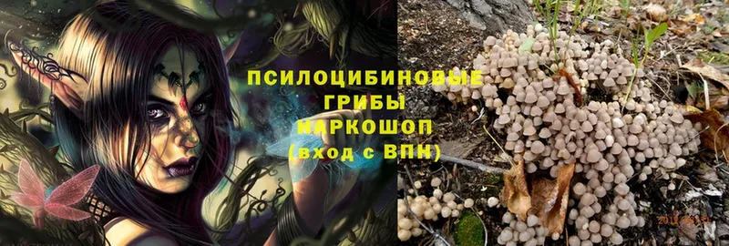 Галлюциногенные грибы Magic Shrooms  Кингисепп 